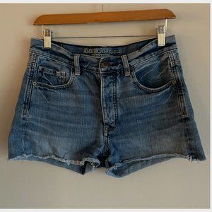 American Eagle Button Fly Denim Shorts